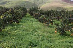 Terreno con abitazione