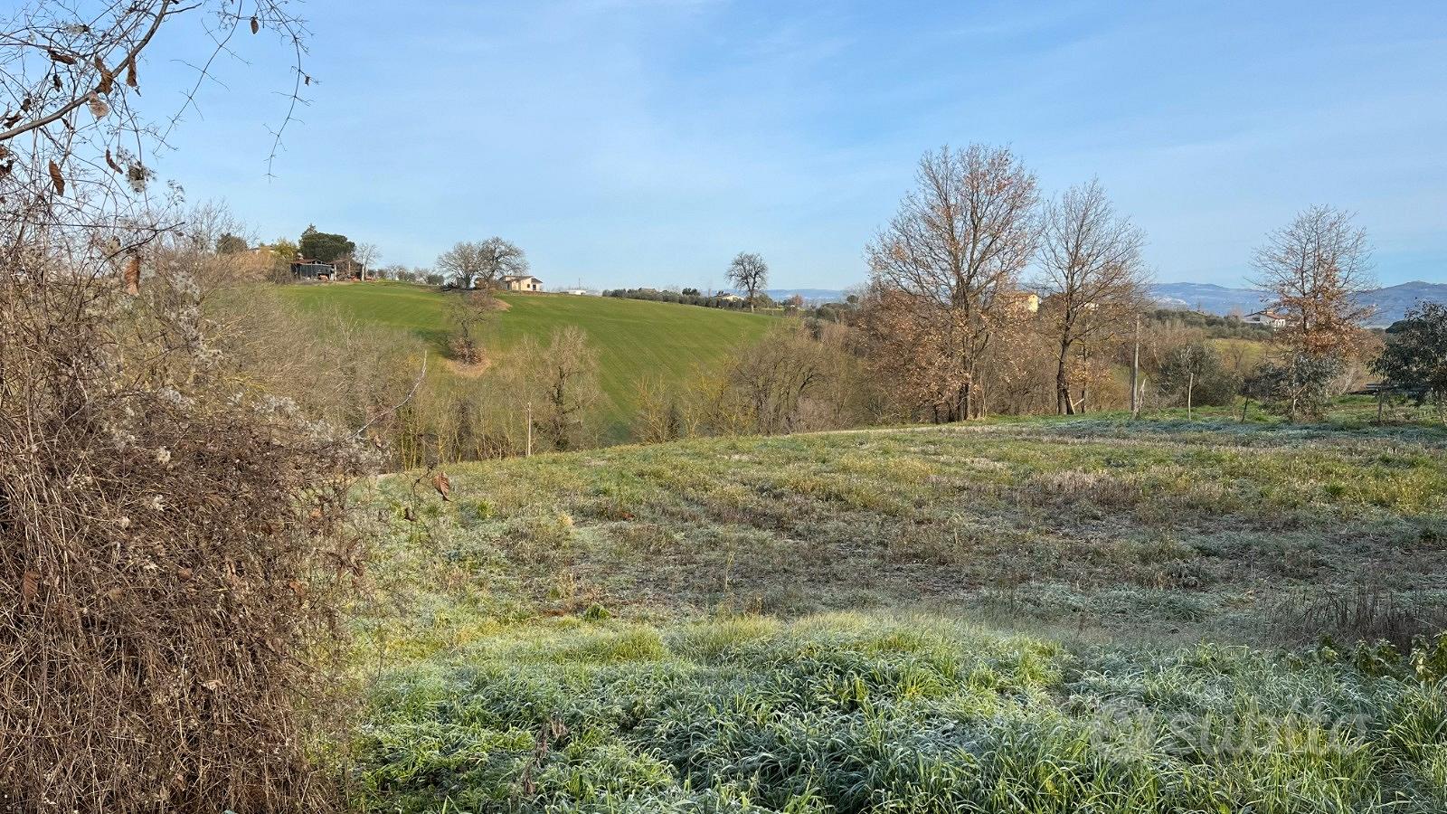 Terreno agricolo - Vista 6
