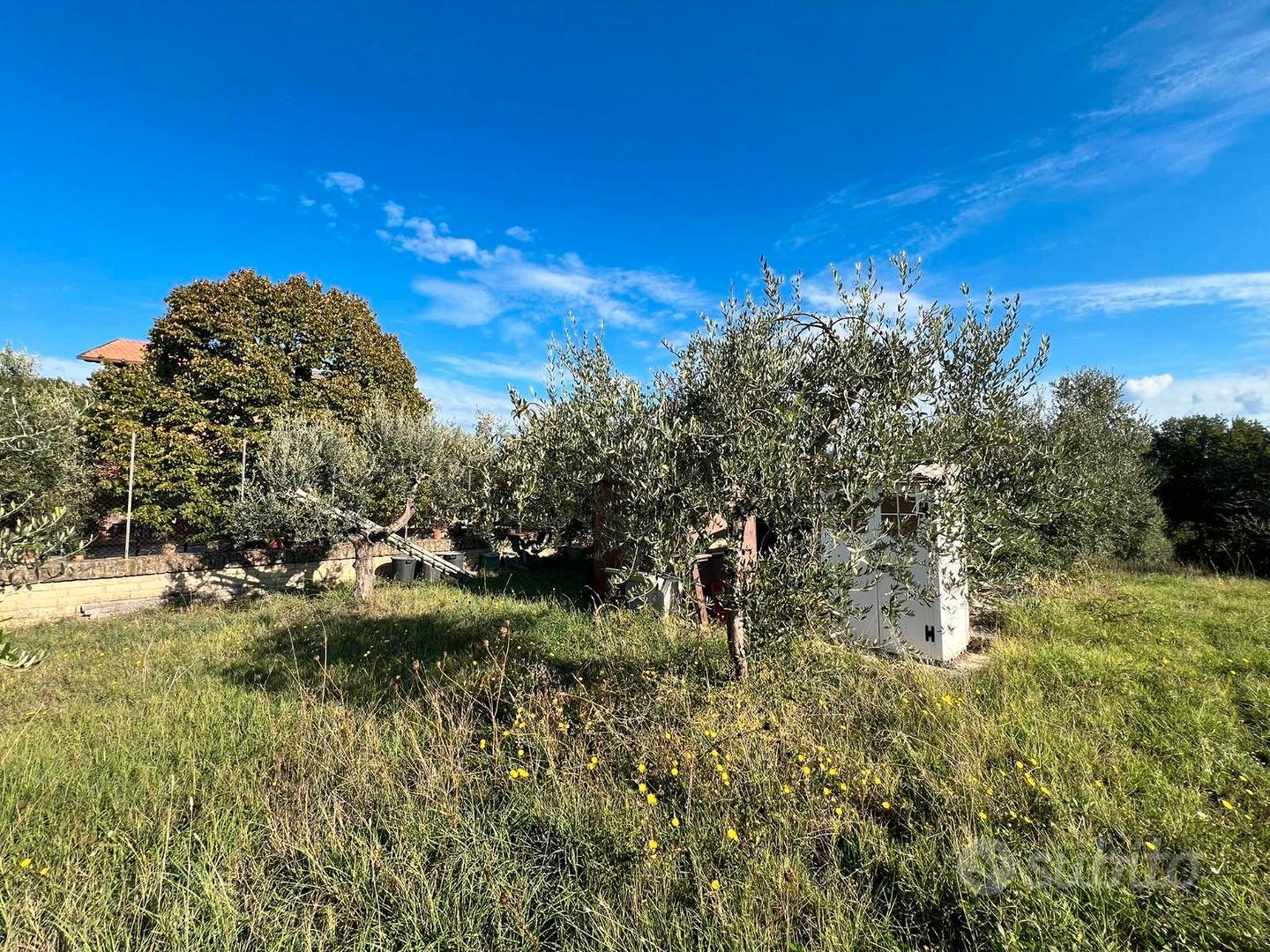 Gallicano nel lazio terreno agricolo - Altro