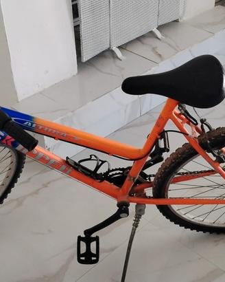 Montainbike 