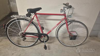 Bicicletta da uomo