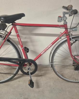 Bicicletta da corsa