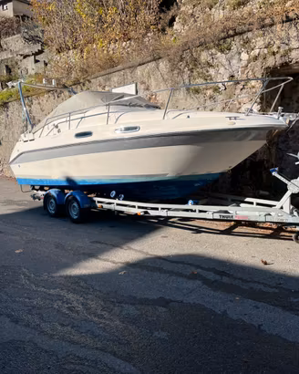 Barca cabinata searay 230