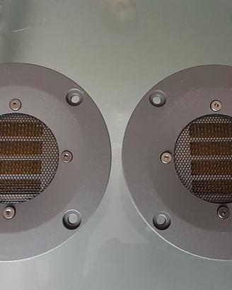 Coppia Fostex T360FD nuovi