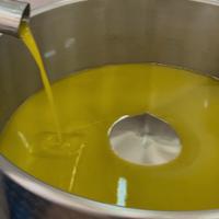 Olio extravergine produzione propria