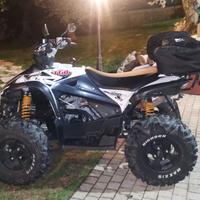 Quad Tgb target 550 irs