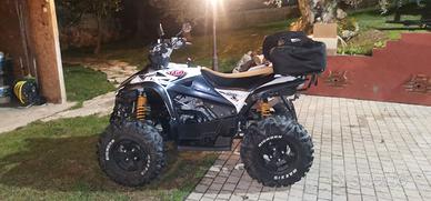 Quad Tgb target 550 irs