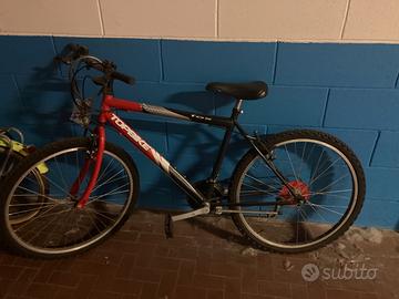 Mountain bike