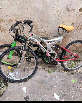 bicicletta