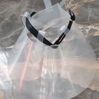 Collare elisabettiano.