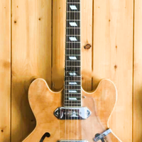 CHITARRA HOLLOWBODY SEMIACUSTICA PEERLESS