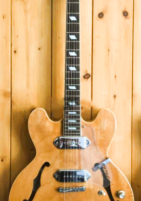 CHITARRA SEMIACUSTICA HOLLOWBODY PEERLESS