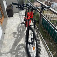 Bicicletta elettrica