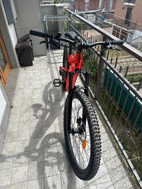 Bicicletta elettrica