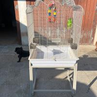 Voliera gabbia per uccelli