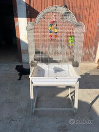 Voliera gabbia per uccelli
