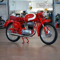 Mv Agusta 175 Sport 1957 - Restauro Totale