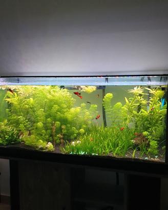 Plafoniera Led Acquario  120cm estensibie