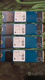Western D. SSD M2 pcie 3.0 256GB pz 4 dispo