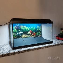 Acquario Juwel 60/70