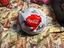 Immagine 4