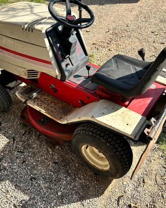 Tagliaerba funzionante con cesto taglia erba motor