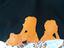 Immagine 5