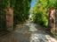 Immagine 4