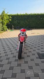 Beta RR 300 2T 2014 - Motard + Kid Enduro completo