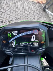 Ninja 636 ZX-6R