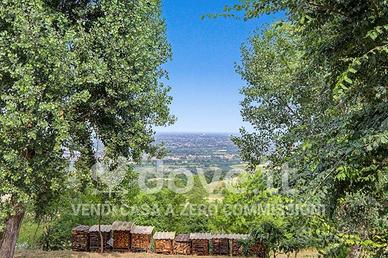 Rustico / Casale di 313 m² con 4 locali a Isola Vi