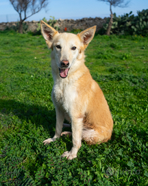 Olivia, sorriso d'oro