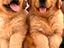 Immagine 4