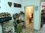 Immagine 27