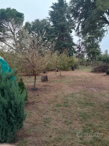 Terreno agricolo recintato con acqua potabile