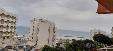 Termoli disponibilità da settembre