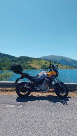 scarico zard per moto guzzi mandello 