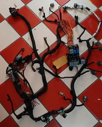 cablaggio motore semi completo 