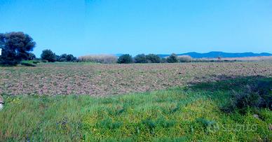Terreno agricolo a Porto Botte