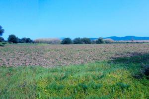 Terreno agricolo a Porto Botte