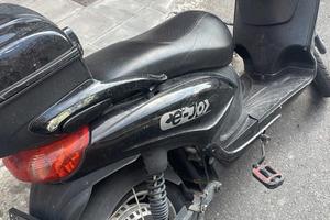 Ycf pilot f150 - 2018