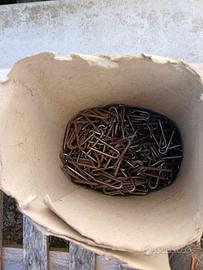 3 kg cambrette 