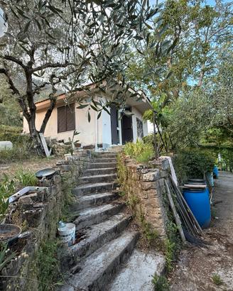 TENUTA AGRICOLA DI PREGIO 3.000 mq Casa, Uliveto