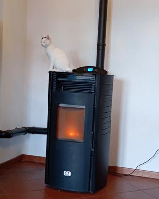 stufa a pellet