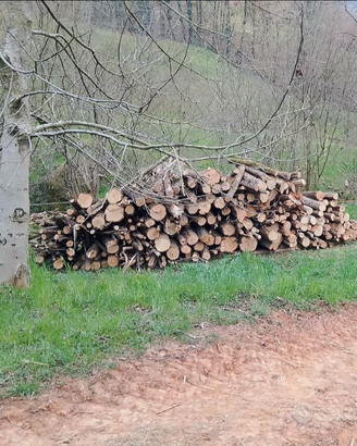 Legna