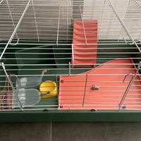 Conigliera gabbia roditori