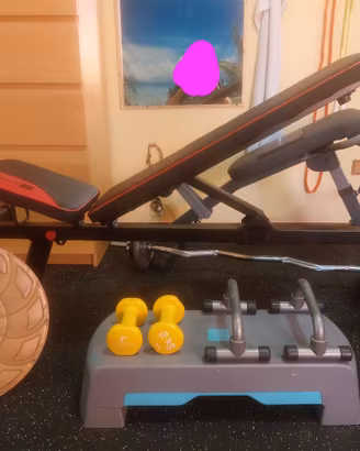 panca palestra  bench 500 piu accessori