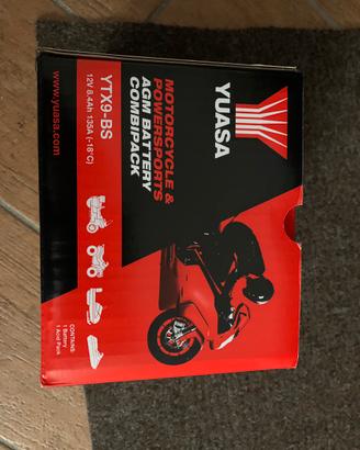 Batteria YUASA scooterone