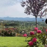 Operaio giardiniere