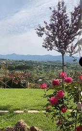 Operaio giardiniere